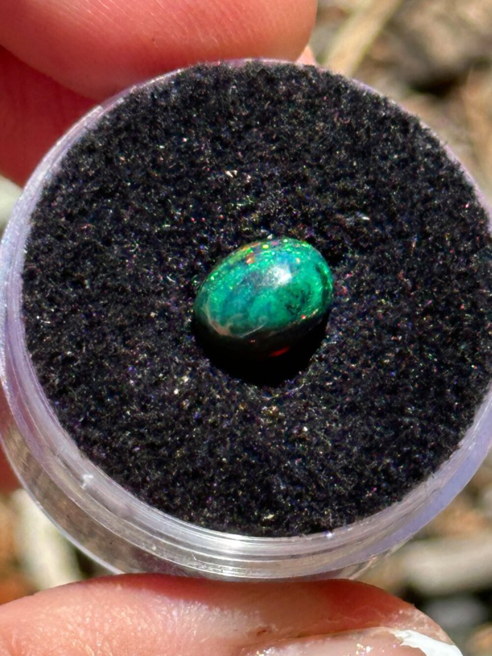 Natural Black Opal *Teal Wonder*